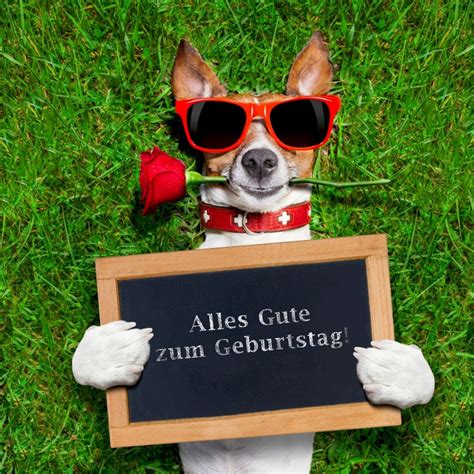 geburtstagsbilder|alles gute zum geburtstag bilder.